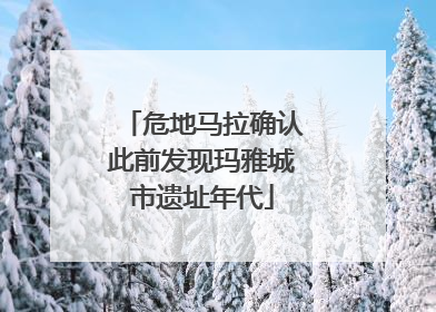 危地马拉确认此前发现玛雅城市遗址年代