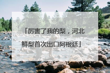 厉害了我的梨，河北鲜梨首次出口阿根廷