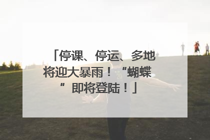 停课、停运、多地将迎大暴雨！“蝴蝶”即将登陆！
