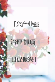 兴产业强治理 抓项目促振兴