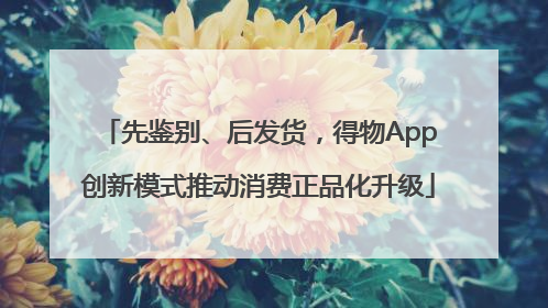 先鉴别、后发货，得物App创新模式推动消费正品化升级