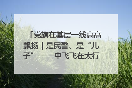 党旗在基层一线高高飘扬｜是民警、是“儿子”——申飞飞在太行山中的一线坚守
