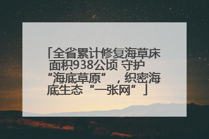 全省累计修复海草床面积938公顷 守护“海底草原”，织密海底生态“一张网”