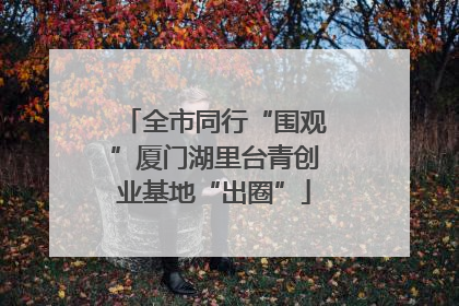 全市同行“围观”厦门湖里台青创业基地“出圈”