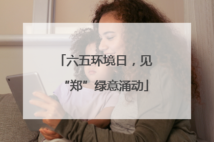 六五环境日，见“郑”绿意涌动