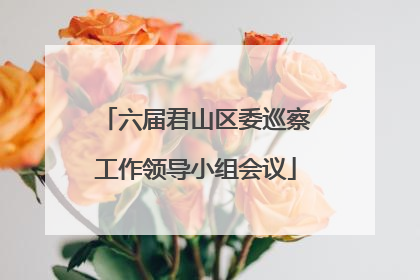 六届君山区委巡察工作领导小组会议