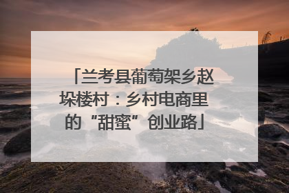 兰考县葡萄架乡赵垛楼村：乡村电商里的“甜蜜”创业路