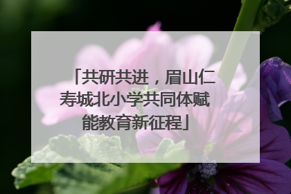 共研共进，眉山仁寿城北小学共同体赋能教育新征程