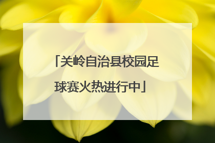 关岭自治县校园足球赛火热进行中
