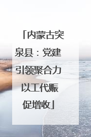 内蒙古突泉县：党建引领聚合力 以工代赈促增收