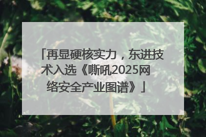 再显硬核实力，东进技术入选《嘶吼2025网络安全产业图谱》