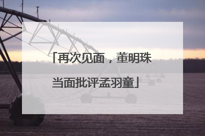 再次见面，董明珠当面批评孟羽童