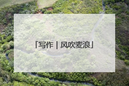 写作｜风吹麦浪