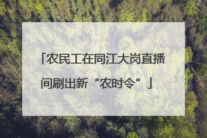 农民工在同江大岗直播间刷出新“农时令”