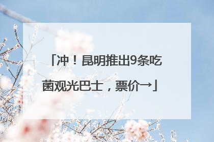 冲！昆明推出9条吃菌观光巴士，票价→