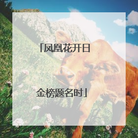 凤凰花开日 金榜题名时
