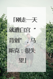 刚走一天就遭白宫“背刺”，马斯克：很失望