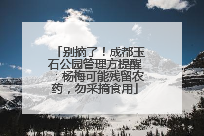 别摘了！成都玉石公园管理方提醒：杨梅可能残留农药，勿采摘食用