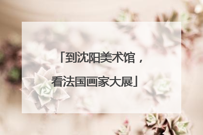 到沈阳美术馆，看法国画家大展