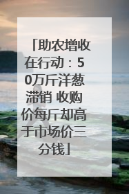 助农增收在行动：50万斤洋葱滞销 收购价每斤却高于市场价三分钱