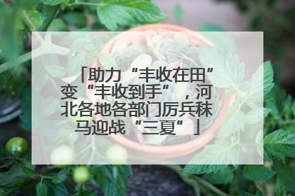 助力“丰收在田”变“丰收到手”，河北各地各部门厉兵秣马迎战“三夏”