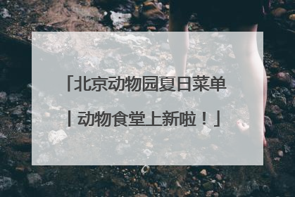 北京动物园夏日菜单丨动物食堂上新啦！