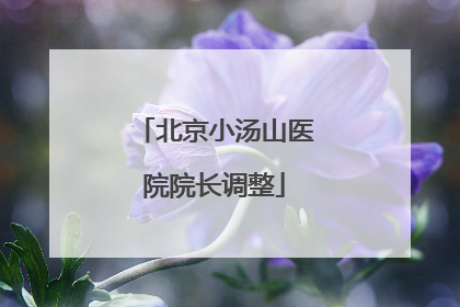 北京小汤山医院院长调整