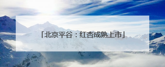 北京平谷：红杏成熟上市