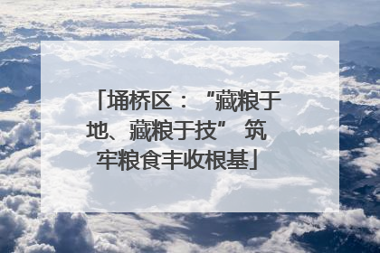 埇桥区：“藏粮于地、藏粮于技” 筑牢粮食丰收根基