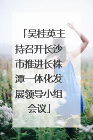 吴桂英主持召开长沙市推进长株潭一体化发展领导小组会议