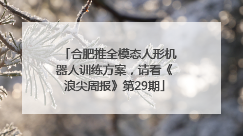 合肥推全模态人形机器人训练方案，请看《浪尖周报》第29期
