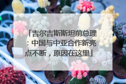 吉尔吉斯斯坦前总理：中国与中亚合作新亮点不断，原因在这里