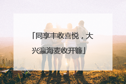 同享丰收喜悦，大兴瀛海麦收开镰