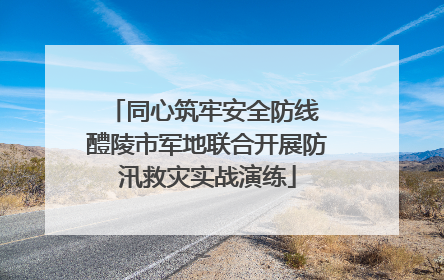 同心筑牢安全防线 醴陵市军地联合开展防汛救灾实战演练