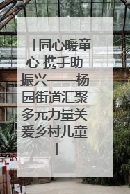 同心暖童心 携手助振兴——杨园街道汇聚多元力量关爱乡村儿童