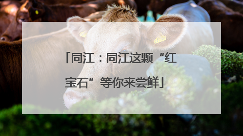 同江：同江这颗“红宝石”等你来尝鲜