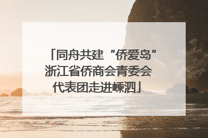 同舟共建“侨爱岛” 浙江省侨商会青委会代表团走进嵊泗