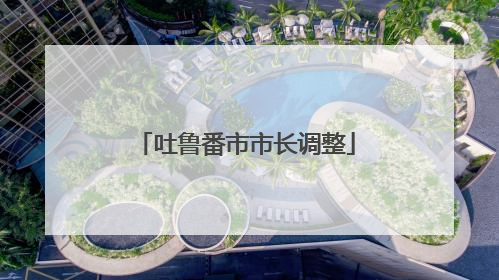 吐鲁番市市长调整