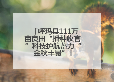 呼玛县111万亩良田“播种收官”科技护航蓄力“金秋丰景”