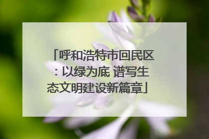 呼和浩特市回民区：以绿为底 谱写生态文明建设新篇章