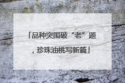 品种突围破“老”题，珍珠油桃写新篇