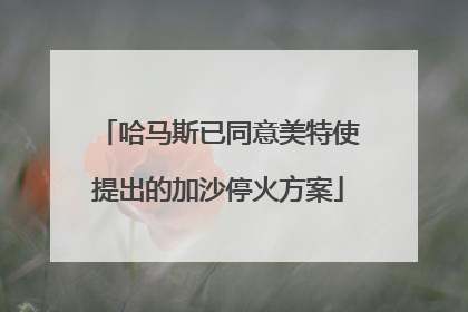 哈马斯已同意美特使提出的加沙停火方案