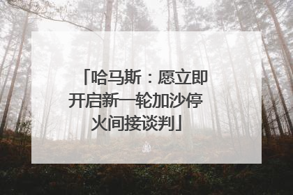 哈马斯：愿立即开启新一轮加沙停火间接谈判