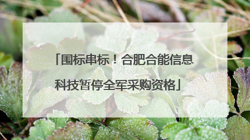 围标串标！合肥合能信息科技暂停全军采购资格