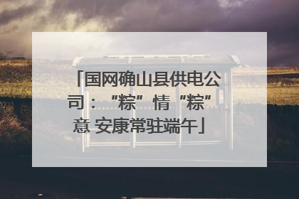 国网确山县供电公司：“粽”情“粽”意 安康常驻端午
