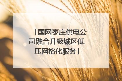 国网枣庄供电公司融合升级城区低压网格化服务