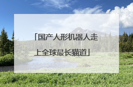 国产人形机器人走上全球最长猫道