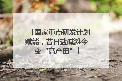 国家重点研发计划赋能，昔日盐碱滩今变“高产田”