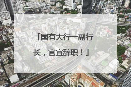 国有大行一副行长，官宣辞职！