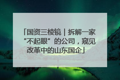 国资三棱镜｜拆解一家“不起眼”的公司，窥见改革中的山东国企